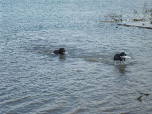 DSC01485.JPG